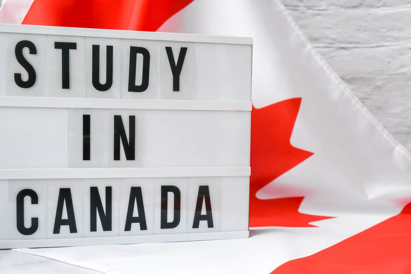 The Allure of Studying in Canada: A Haven for International Students