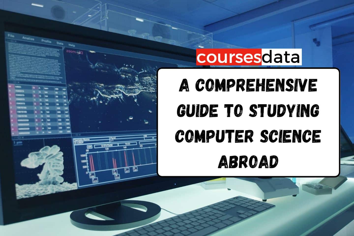 Exploring the Digital World: A Comprehensive Guide to Studying Computer Science Abroad