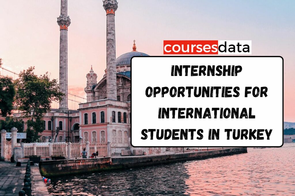 Internship Opportunities for International Students in Turkey