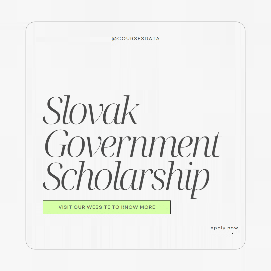 Slovak Government Scholarship