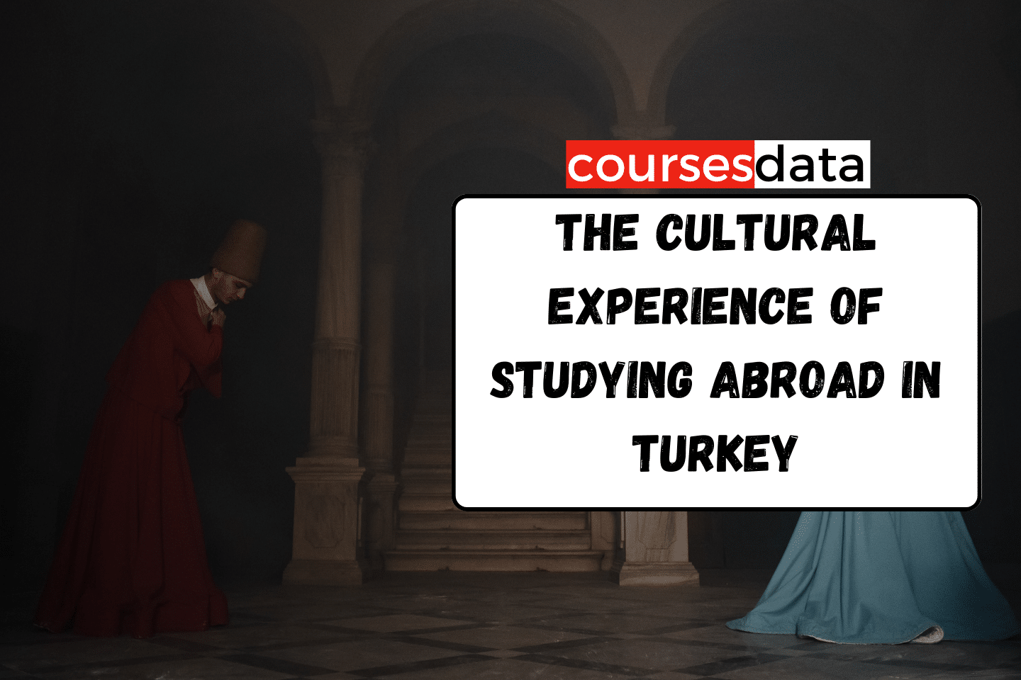 The Cultural Experience of Studying Abroad in Turkey