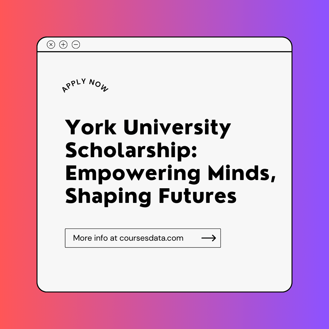 York University Scholarship: Empowering Minds, Shaping Futures