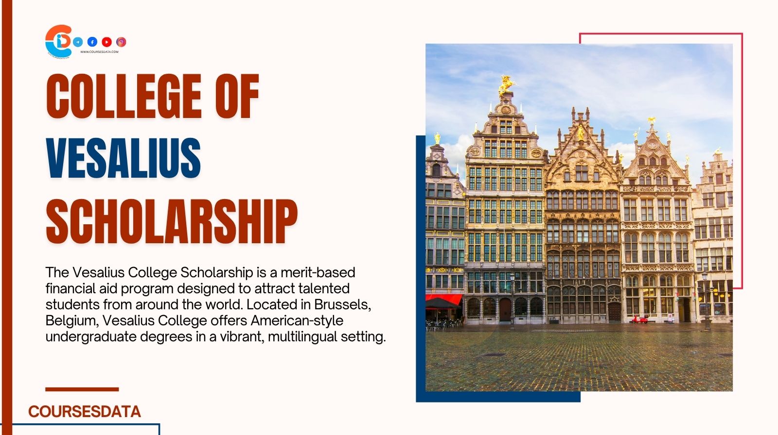 Vesalius College Scholarship