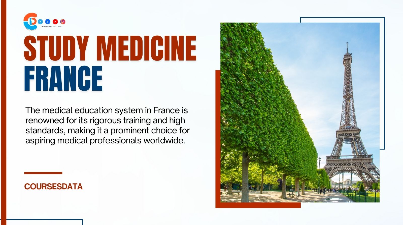 Study Medicine in France