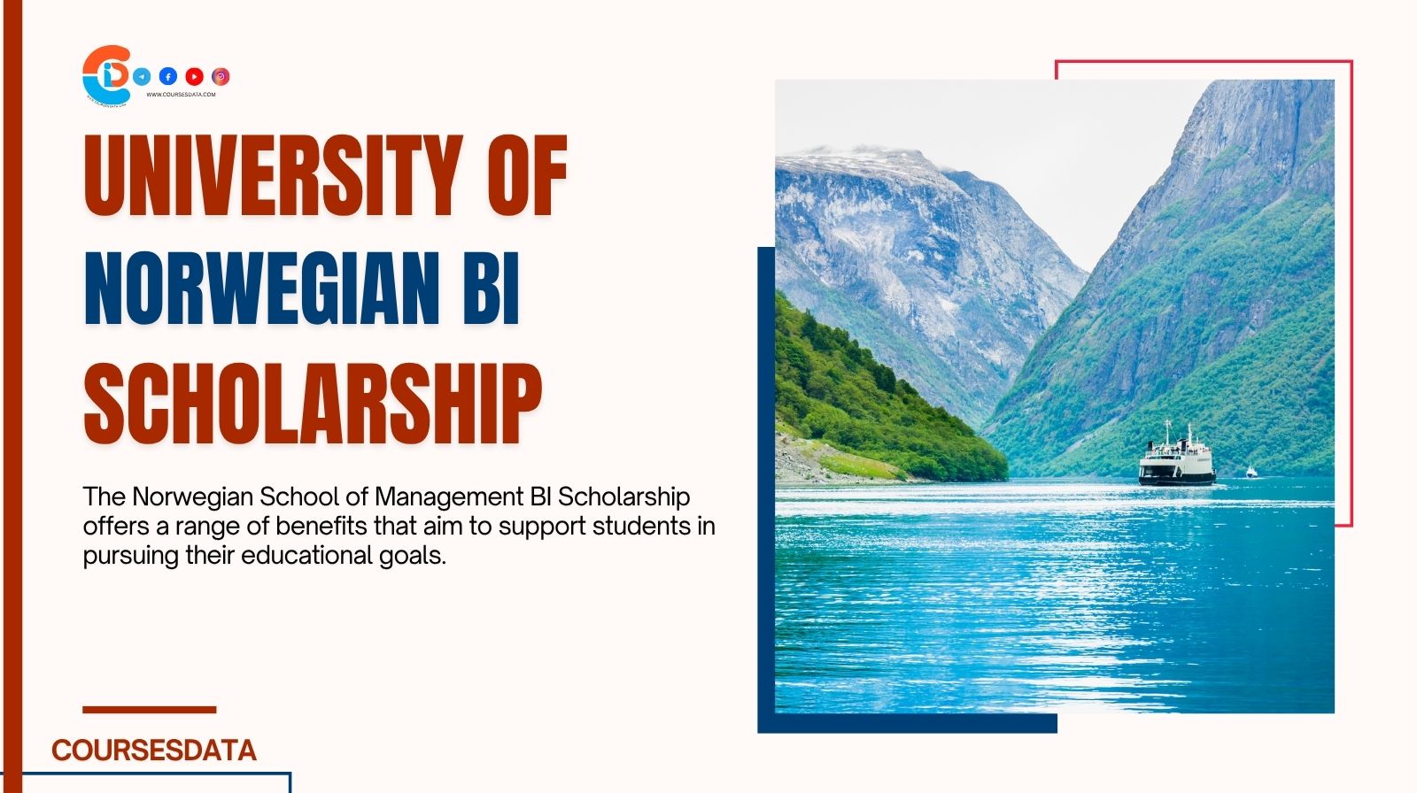 Norwegian School of Management BI Scholarship