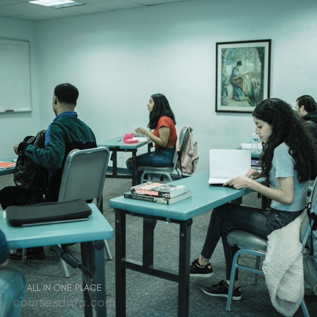 Students engaged in classroom study.