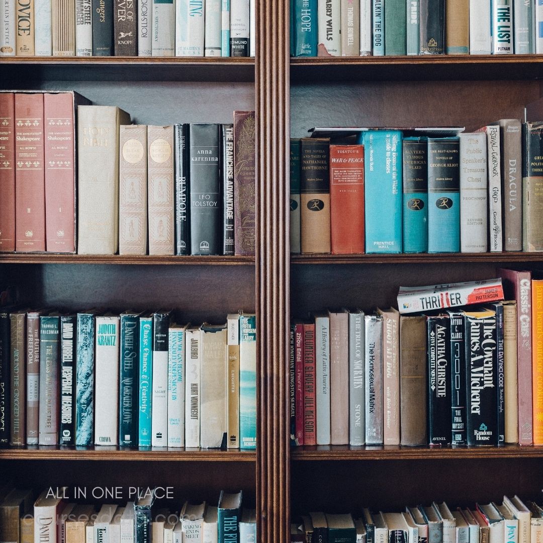 Bookshelves filled with varied literature.