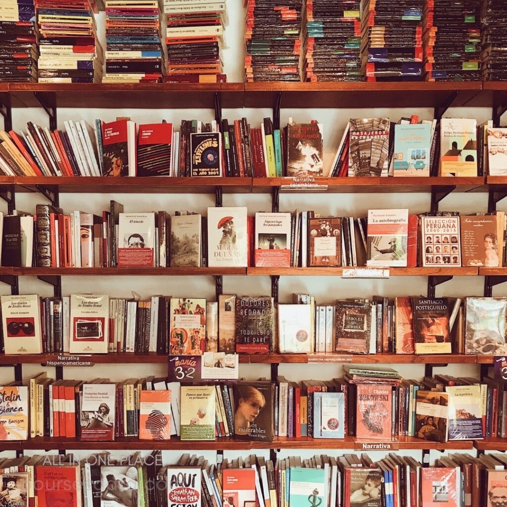 Colorful bookshelves filled with literature.