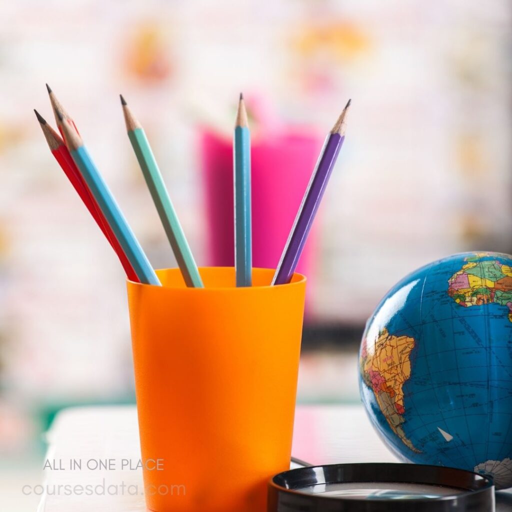 Colorful pencils in orange holder.