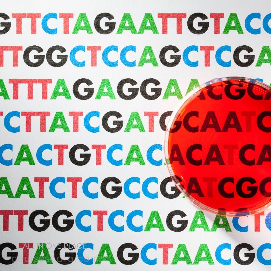 Petri dish on DNA sequence.