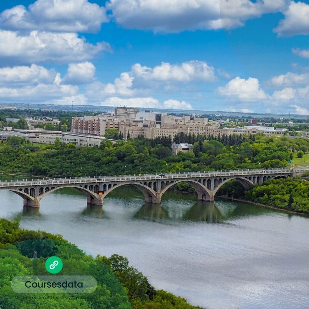 Bridge over river with greenery.