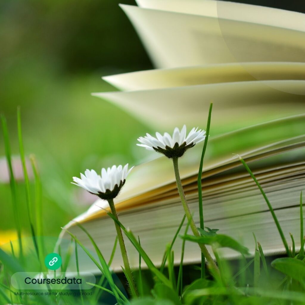 Open book with blooming daisies.