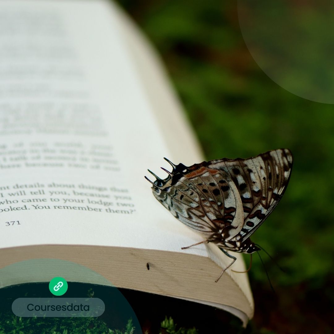 Butterfly perched on open book.