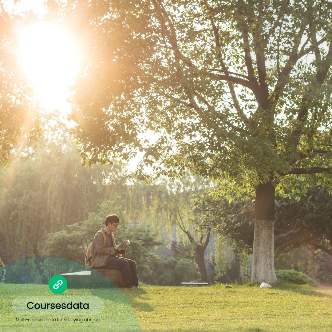 Person reading under sunlit trees.