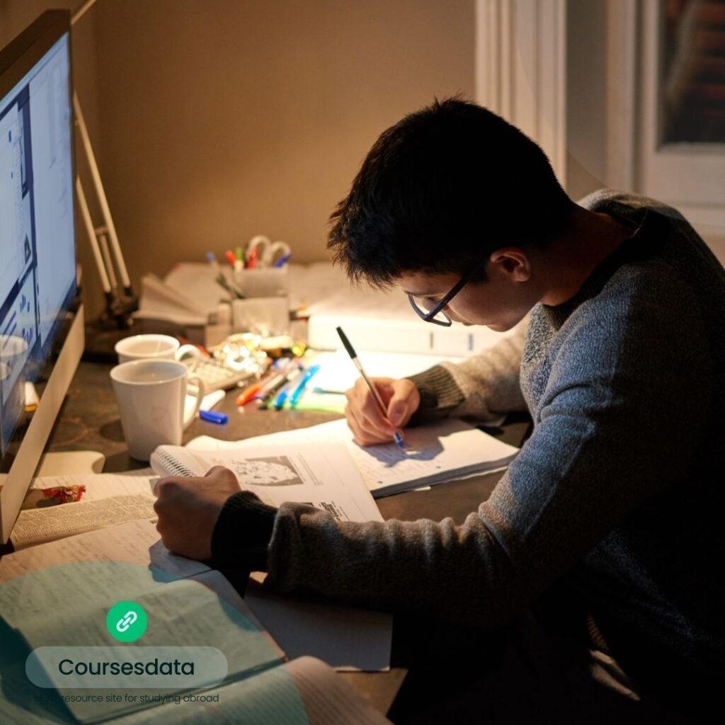 Student studying at desk.