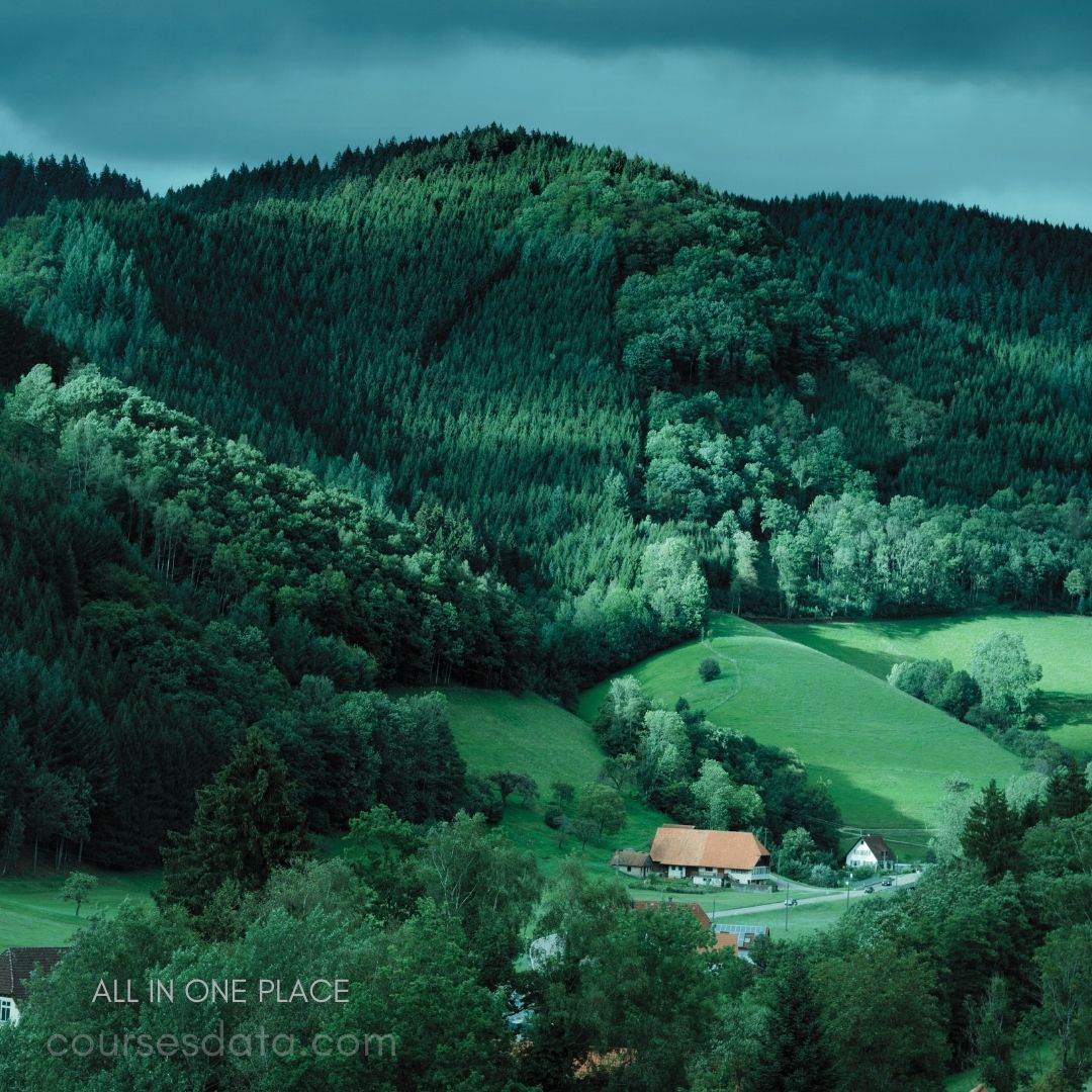 Lush green hills, cloudy sky. Isolated houses in valley. Dense forest on hillside. Peaceful rural landscape scene.