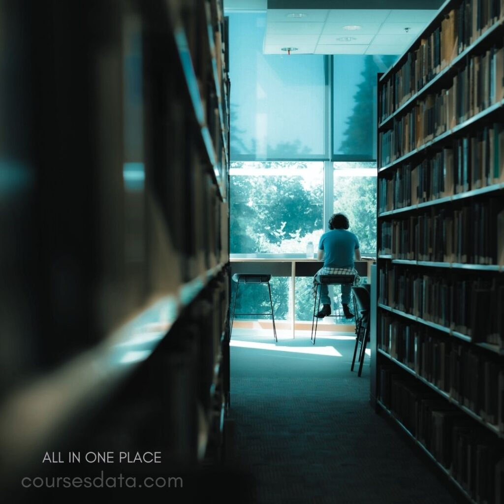 Person sitting at desk. Bookshelves lining the hallway. Bright window with greenery outside. Calm and quiet library atmosphere. Soft blue lighting casts shadows.