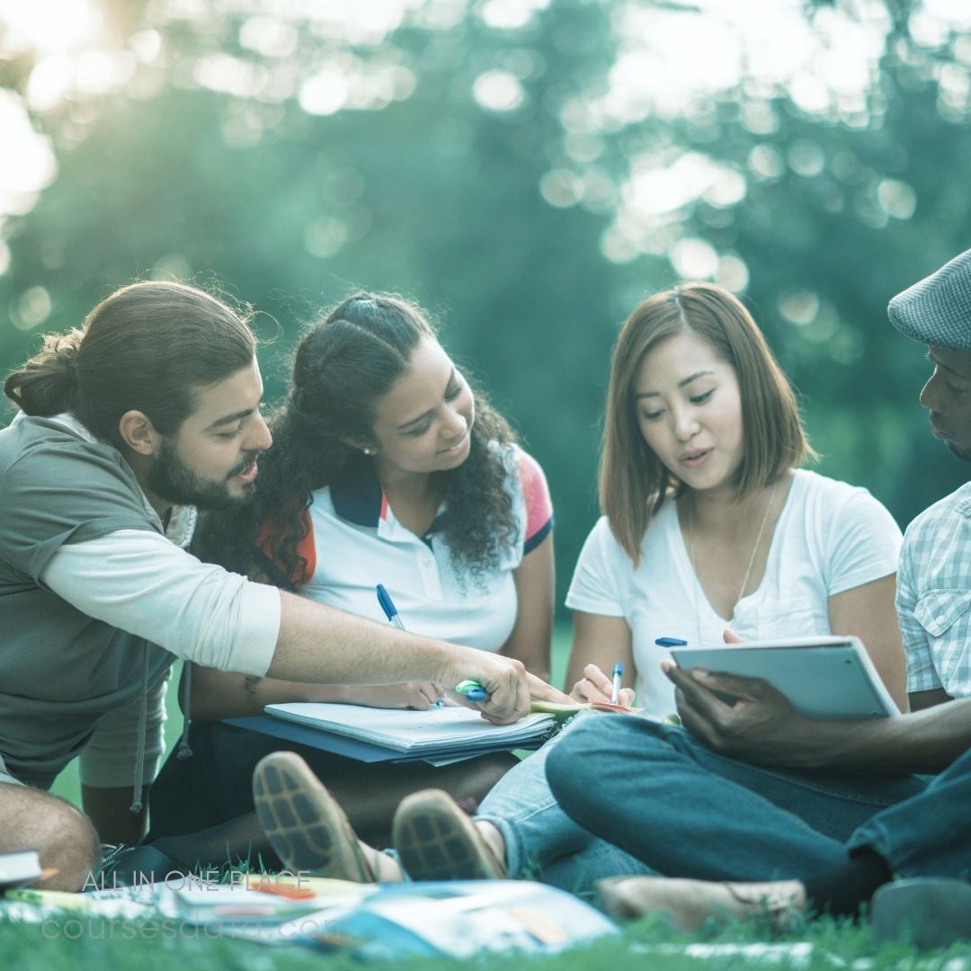 Four students studying together. Outdoor setting with notebooks. Diverse group sharing ideas. Collaborative atmosphere and focus. Sunlight filtering through trees.