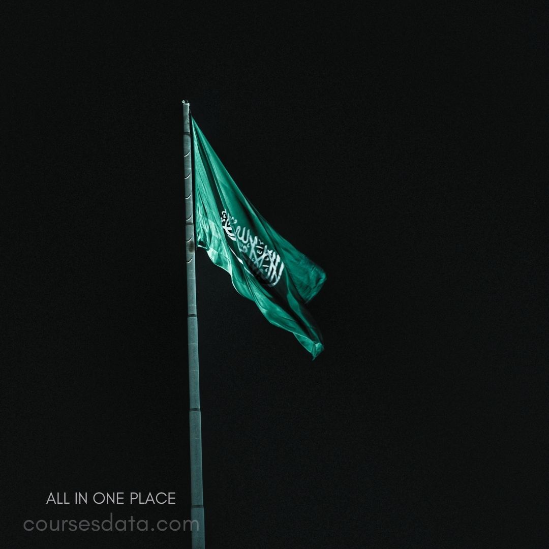 Green flag waving, night sky.