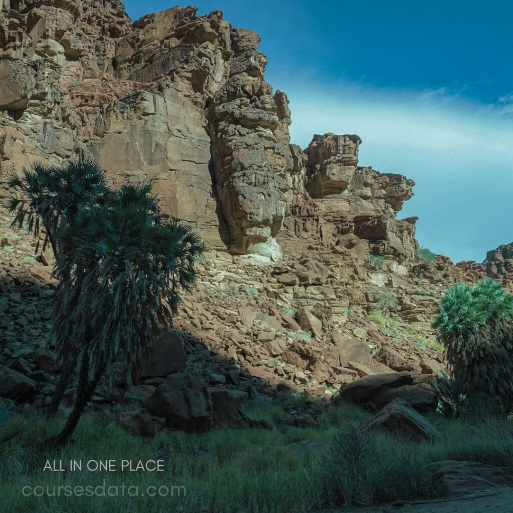 Desert landscape with rocky cliffs. Green palm trees in foreground. Clear blue sky above. Sunlight illuminating rock surfaces. Lush greenery at base.