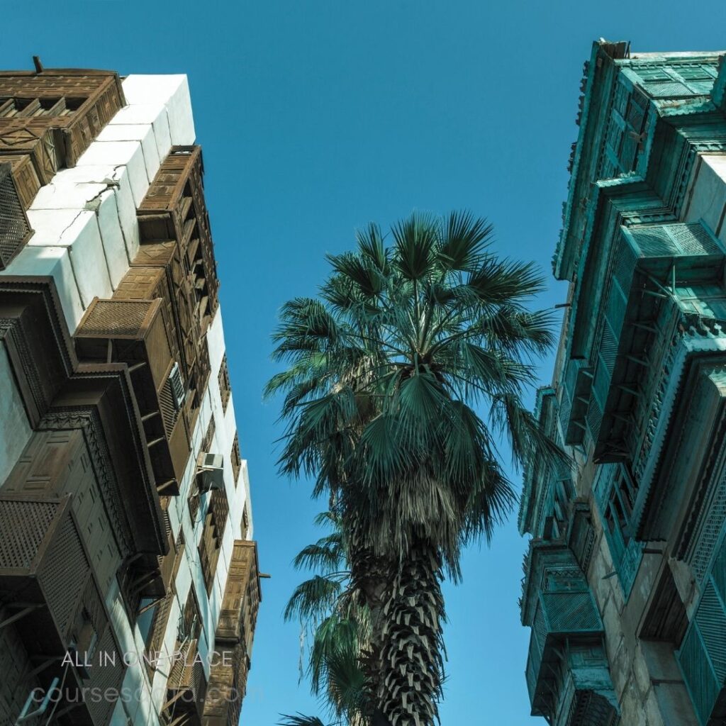 Palm tree between buildings. Old buildings with wooden balconies. Clear blue sky backdrop. Historic architecture details visible.