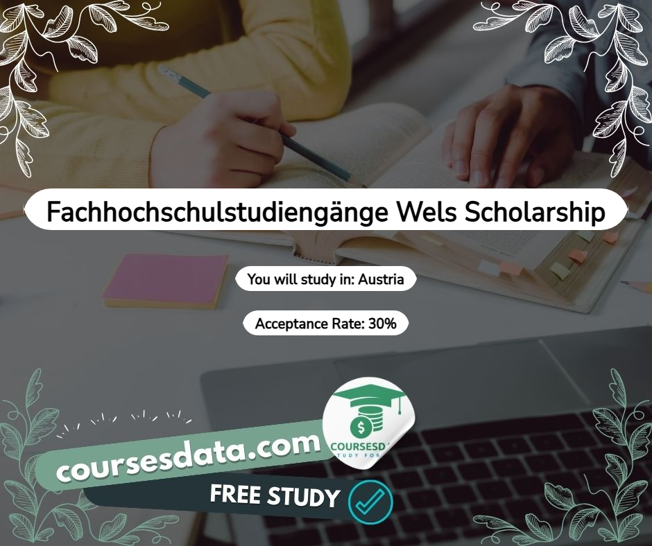 Fachhochschulstudiengänge Wels Scholarship