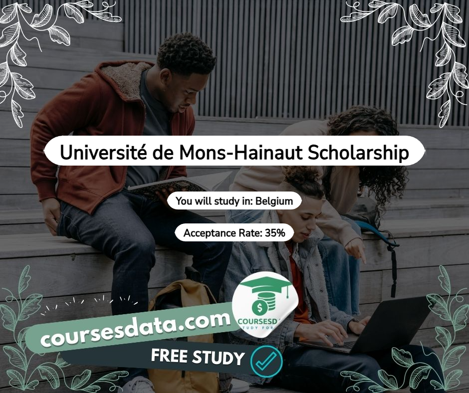 Université de Mons-Hainaut Scholarship