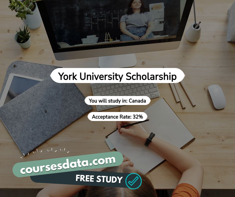 York University Scholarship