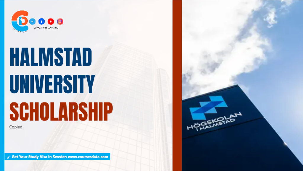 Halmstad University Scholarship