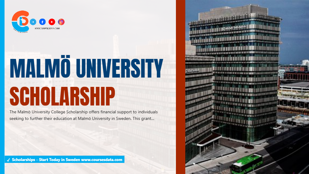 Malmö University Scholarship