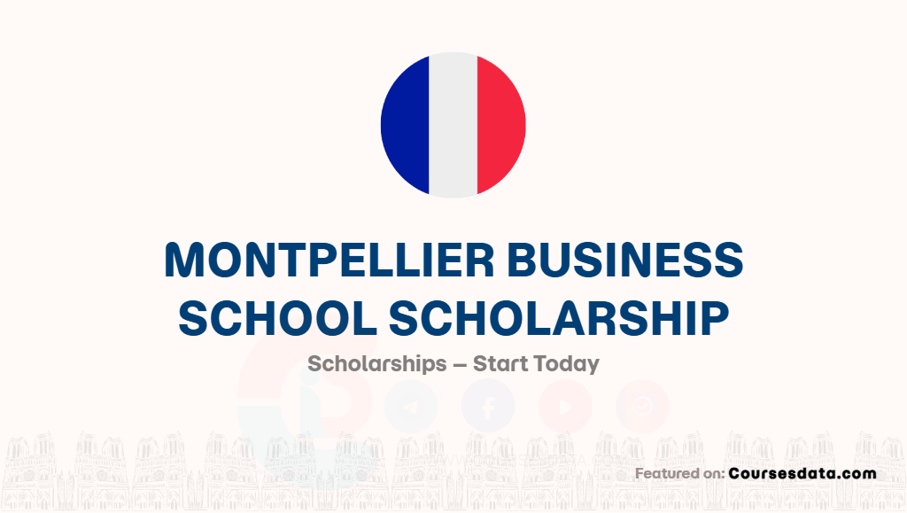 Montpellier Business School Scholarship