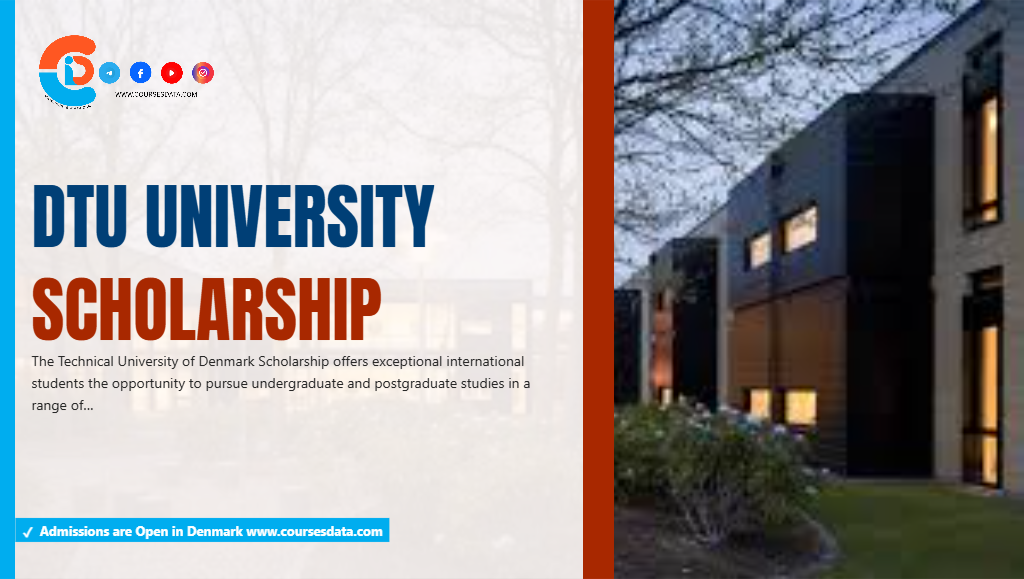 DTU University Scholarship