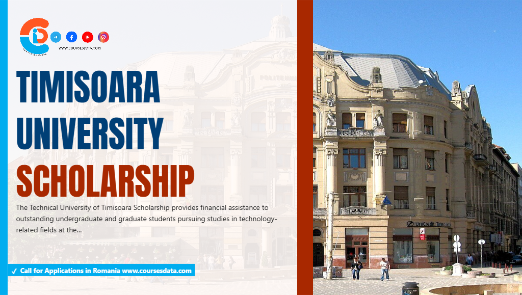 Timisoara University Scholarship