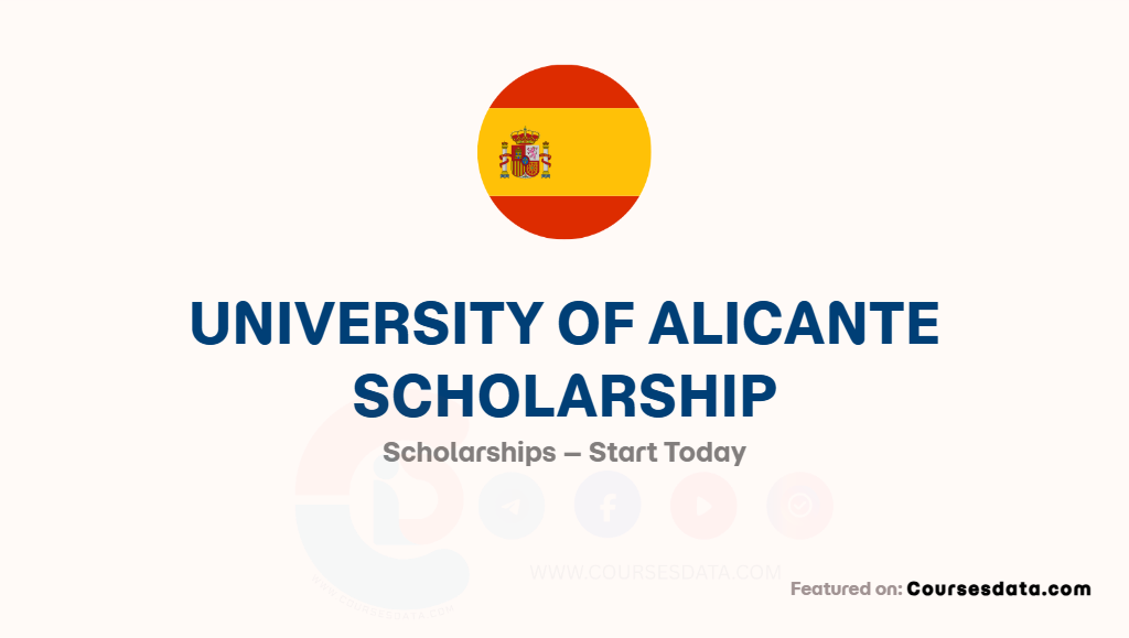 University of Alicante Scholarship