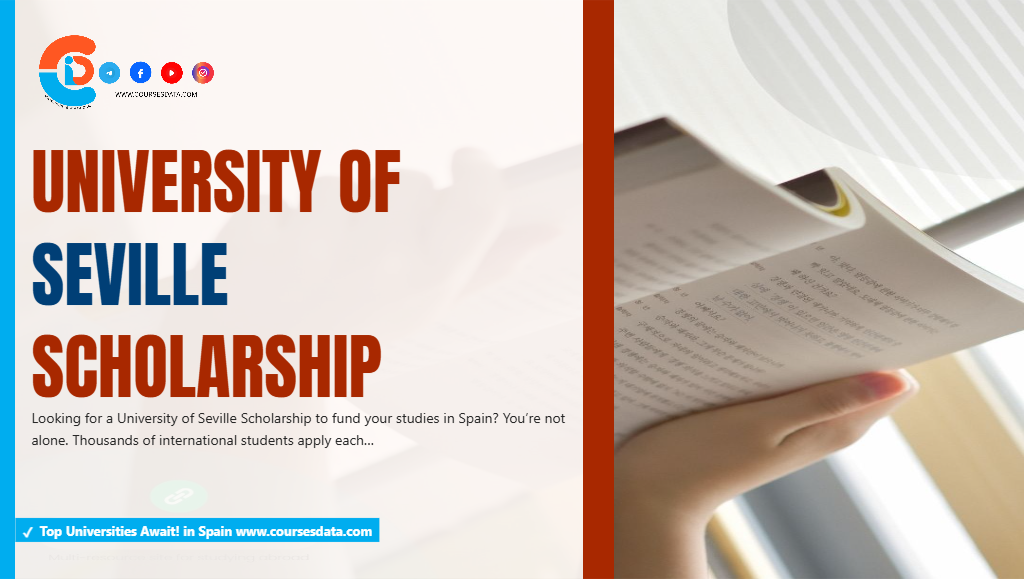 University of Seville Scholarship