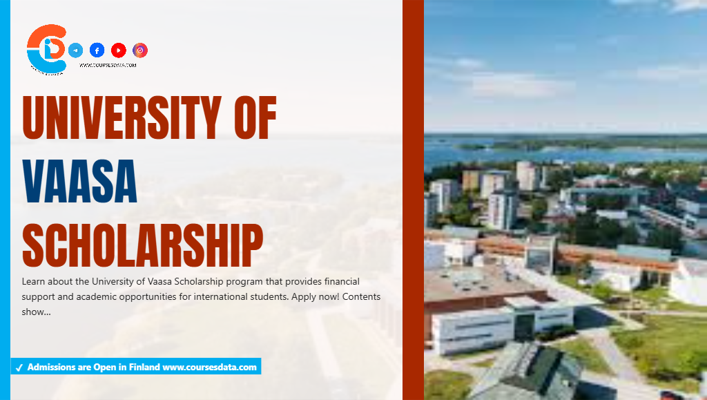 University of Vaasa Scholarship