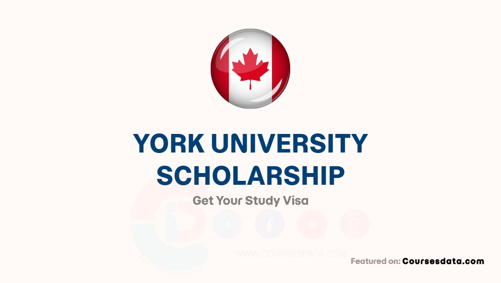 York University Scholarship